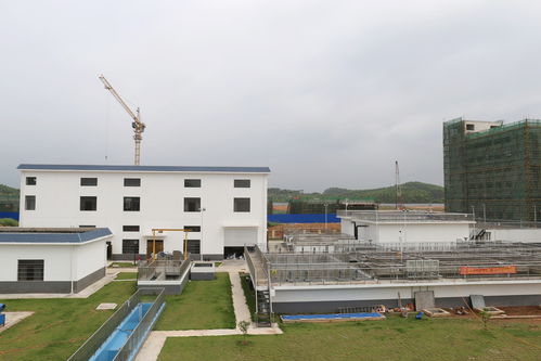以學促干，賦能綠色基建 靈山環保水務項目高質量通過竣工驗收